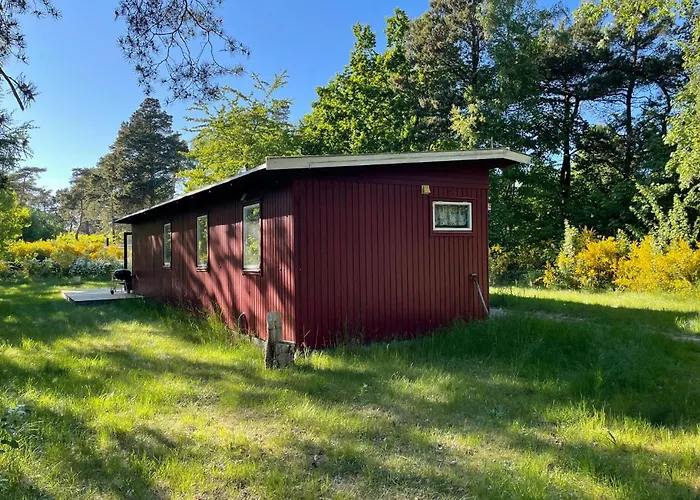 3 Bedroom Cozy In